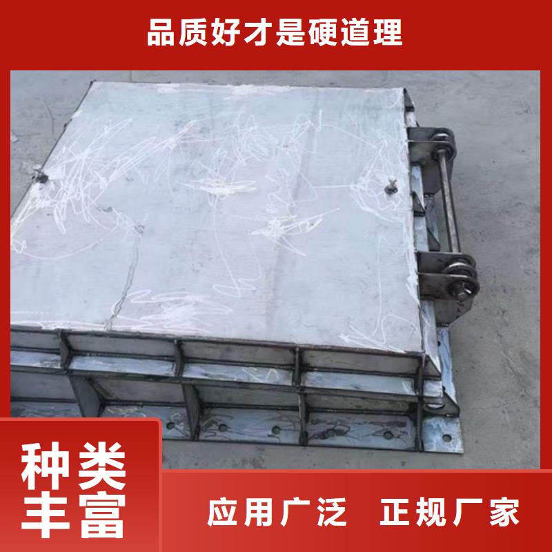 钢闸门多种规格供您选择