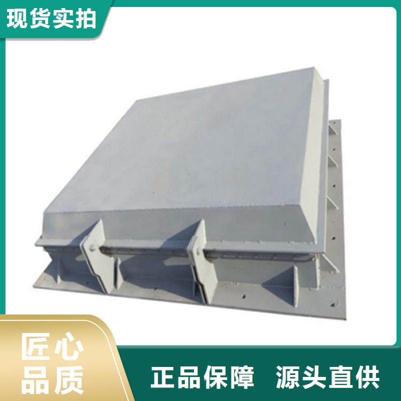 钢闸门,拍门厂家货源直供