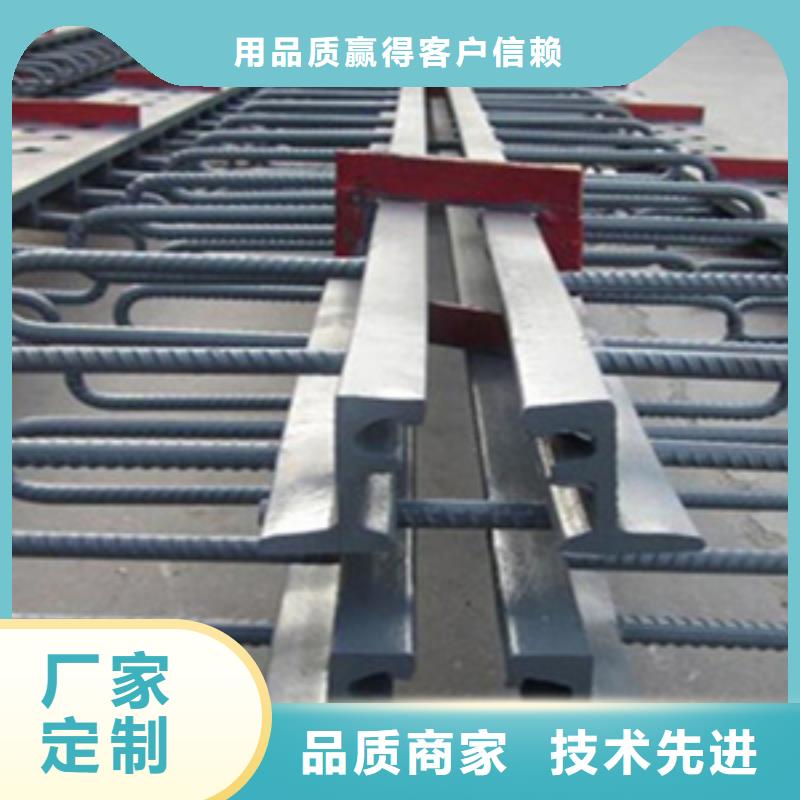 桥梁tst伸缩缝支持定做生产厂家