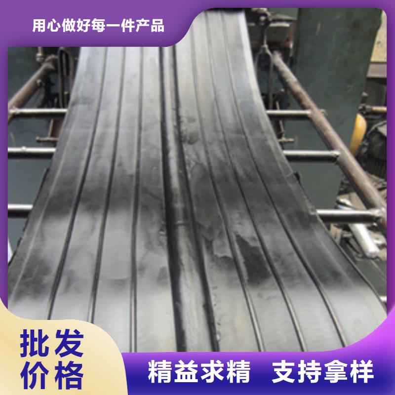 橡胶止水带-桥梁支座更换专业信赖厂家