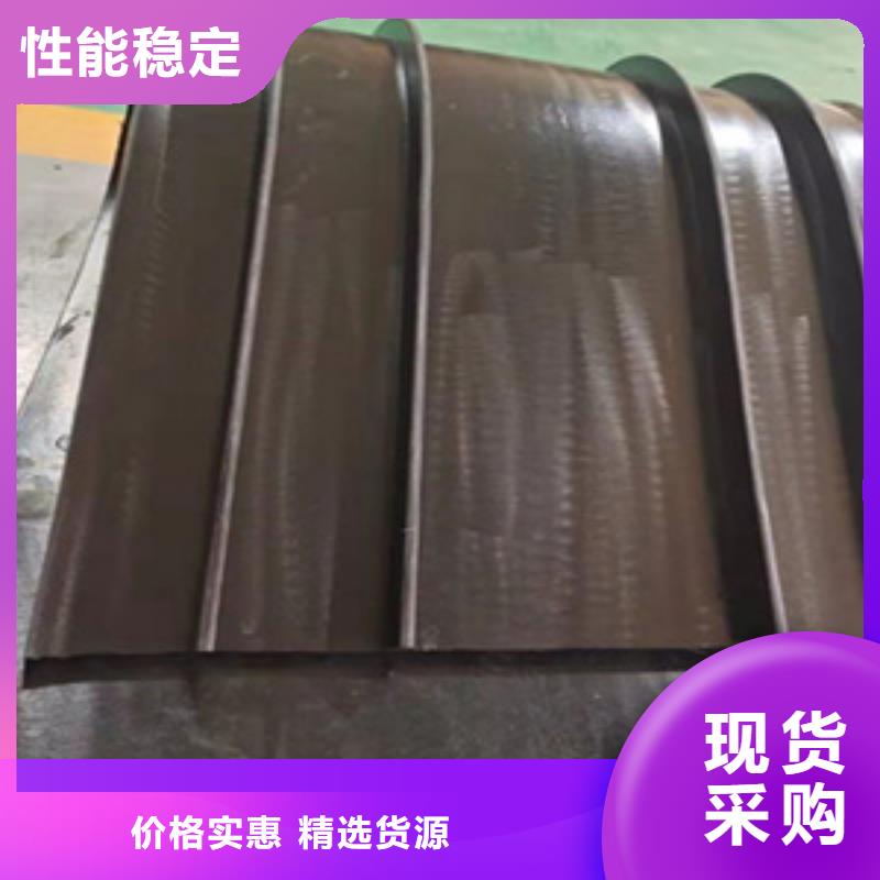 钢边橡胶止水带蓄水池用