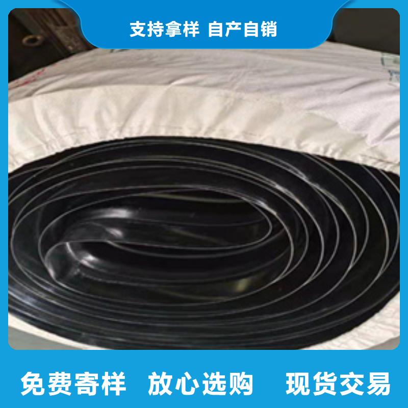 中埋式橡胶止水带地铁用