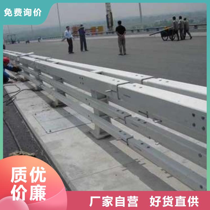 桥梁护栏厂家河堤防撞护栏源头直供