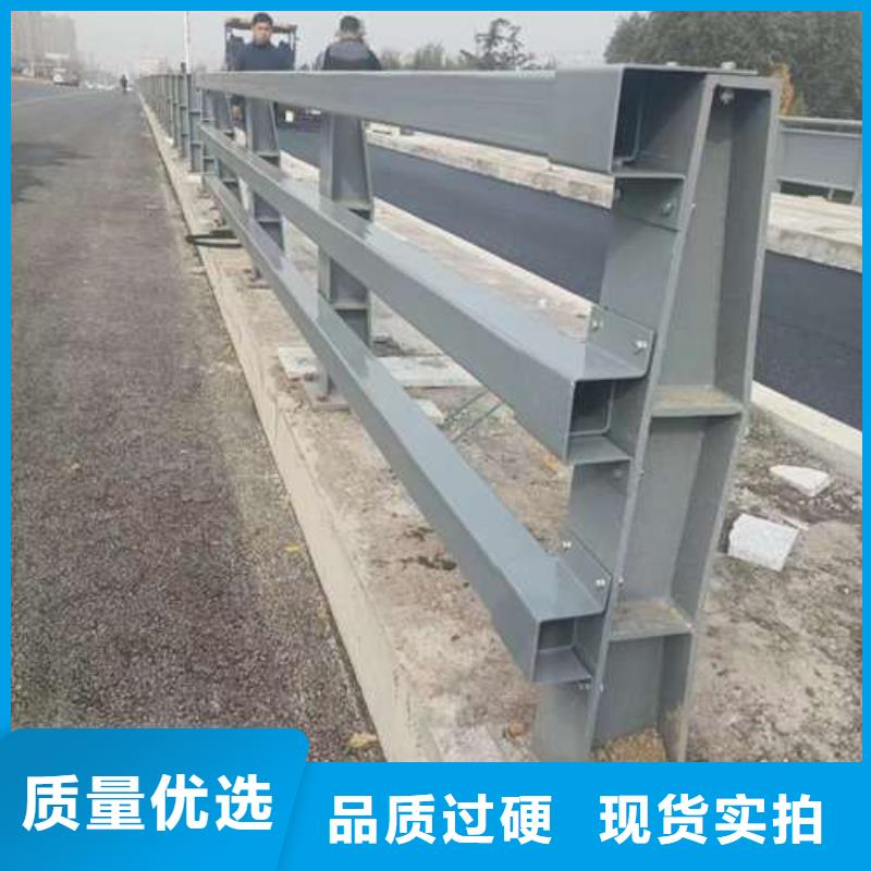  桥梁护栏厂家专业的生产厂家