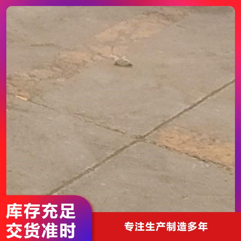 护栏【景观护栏】商家直供