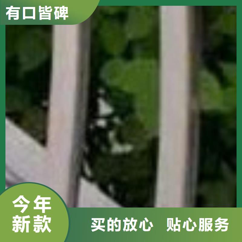 护栏一周内发货