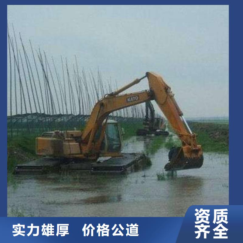 水陆挖掘机_【水上打桩挖机租赁】齐全
