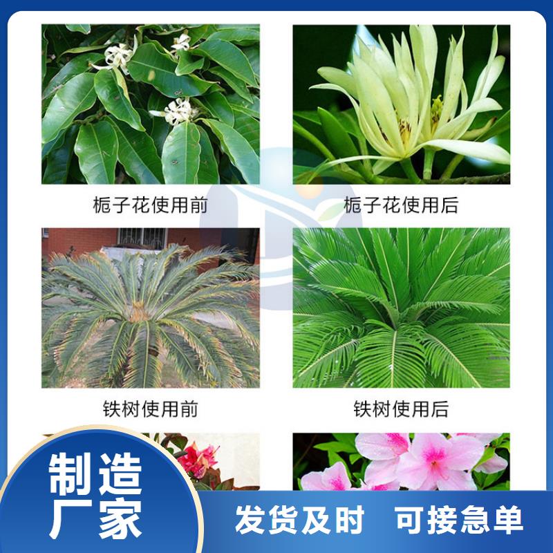 散装硫酸亚铁厂家-为您服务