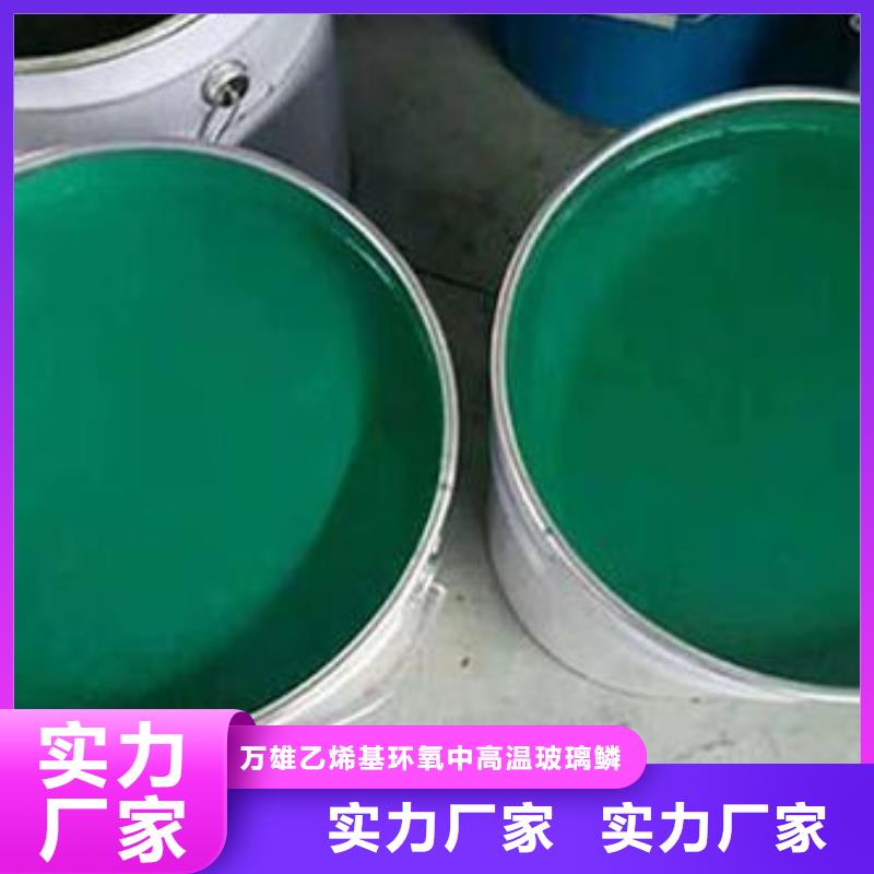 玻璃鳞片胶泥一致好评产品