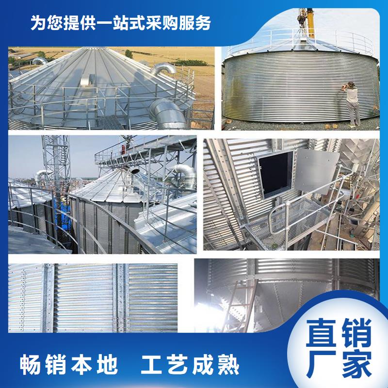 大型粮食存储设备-专注大型粮食存储设备十多年