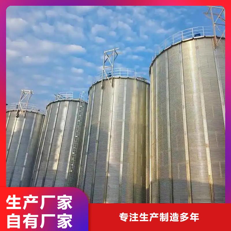 黄豆立筒仓来厂实地考察