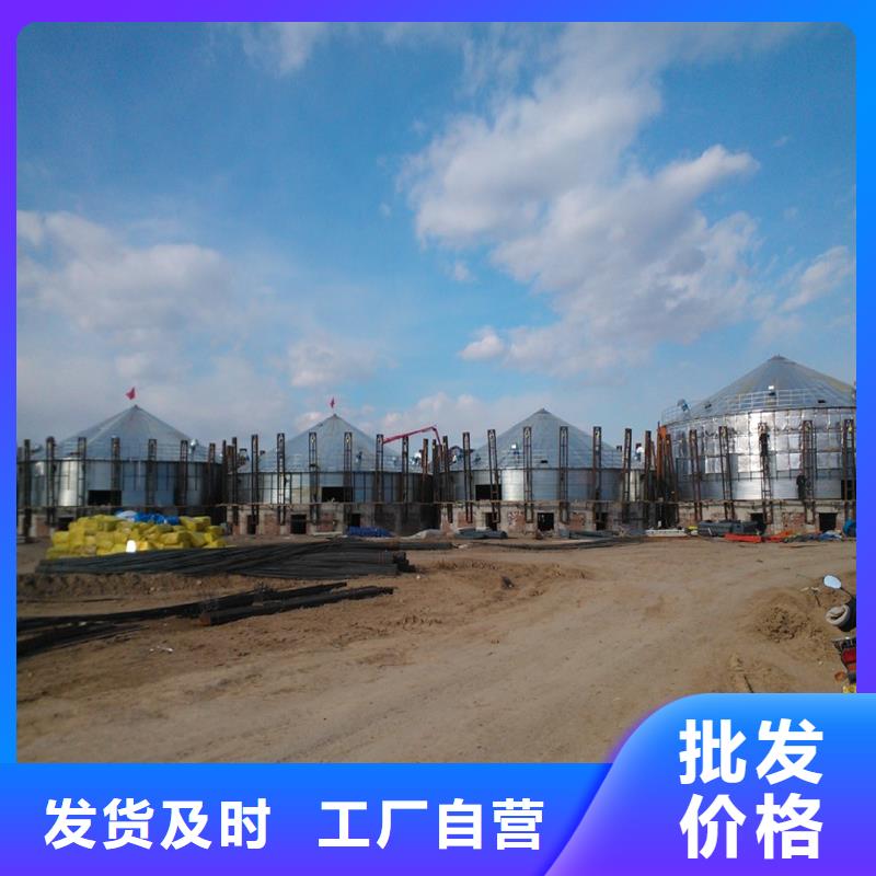 装配式粮食仓厂家