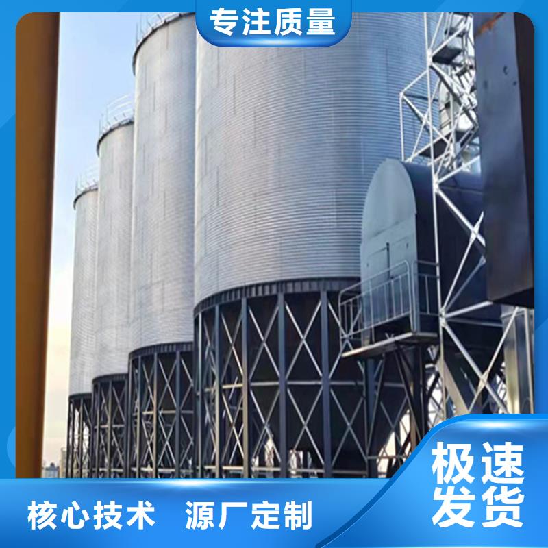 大型立式粮食储存仓厂家-为您服务