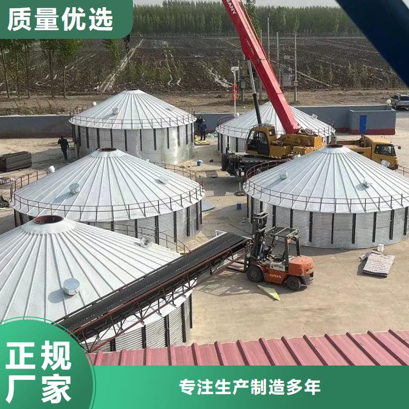 立式装配钢板仓交货及时