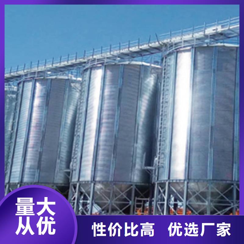大型立式粮食储存仓厂家-为您服务