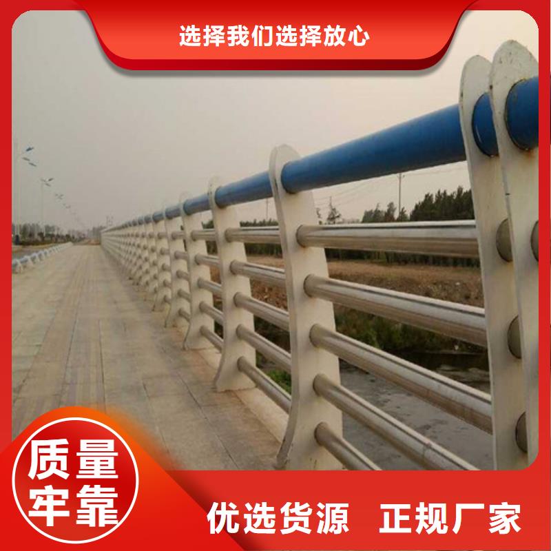 桥梁护栏,人行天桥防护栏厂家定制