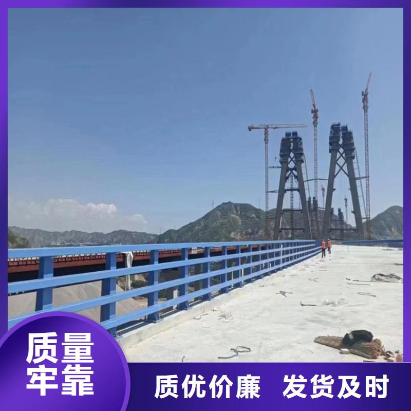 护栏N年大品牌