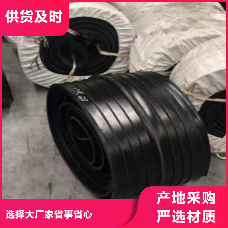 【橡胶止水带_模数式桥梁伸缩缝经验丰富质量放心】