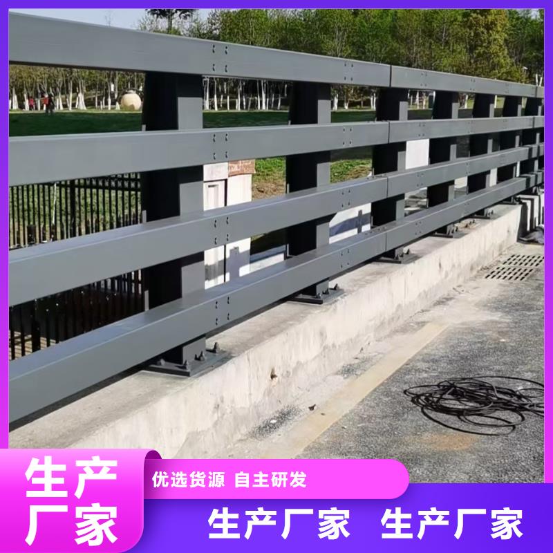 桥梁护栏,【高速开口栏网】欢迎来厂考察