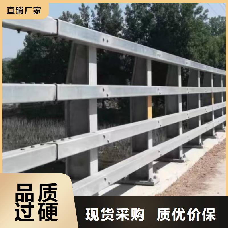 桥梁护栏,【高速开口栏网】欢迎来厂考察