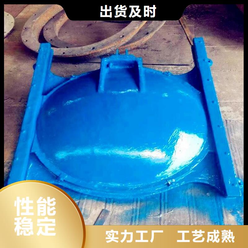 铸铁闸门-螺杆启闭机拥有多家成功案例