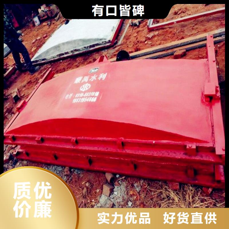 铸铁闸门-螺杆启闭机拥有多家成功案例