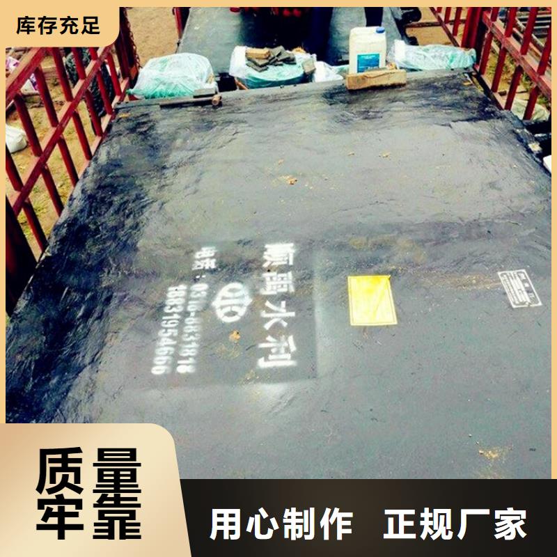 铸铁闸门 钢制拍门多年行业积累