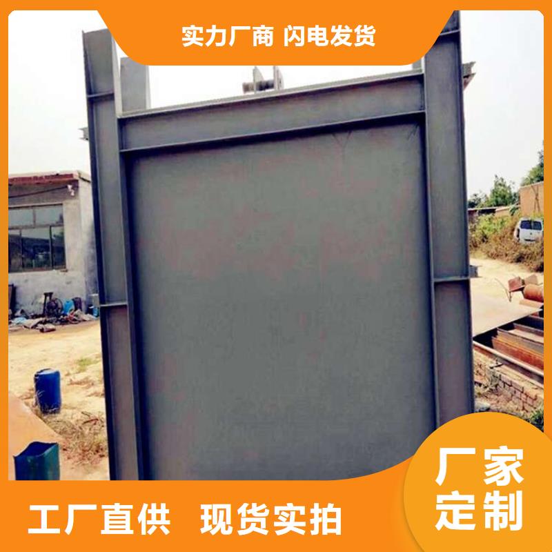 铸铁闸门 拦污栅厂家直接面向客户