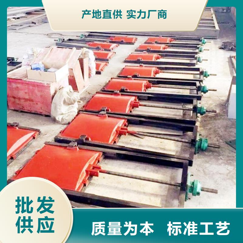 铸铁闸门 启闭机精工打造