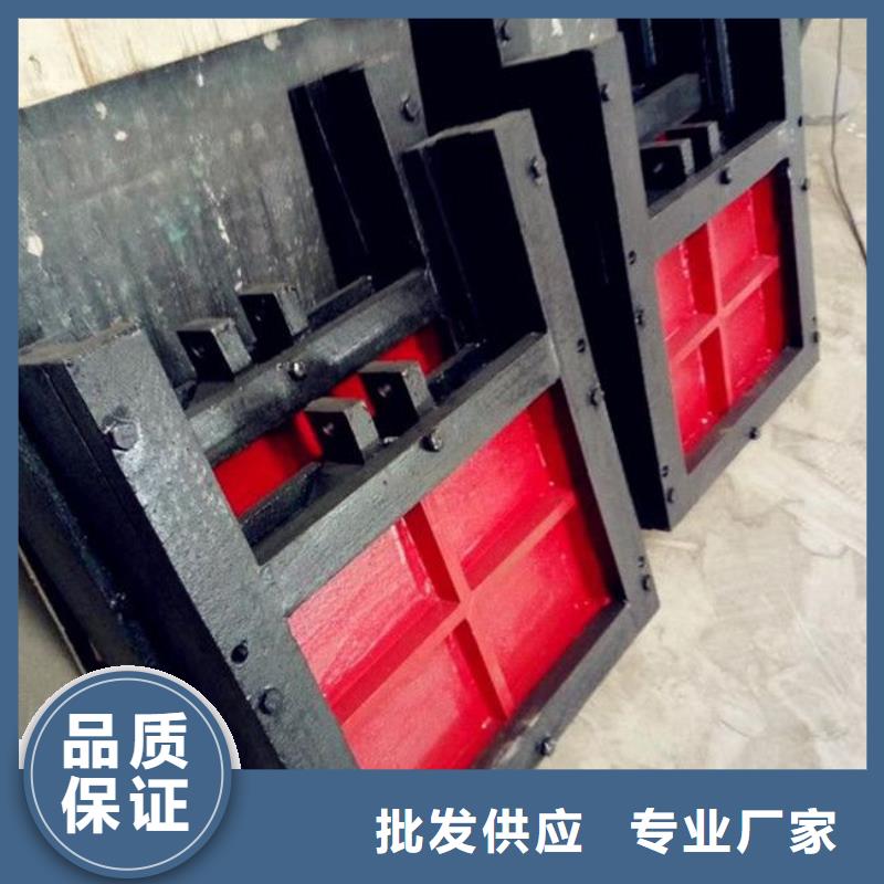 铸铁闸门 拦污栅厂家直接面向客户