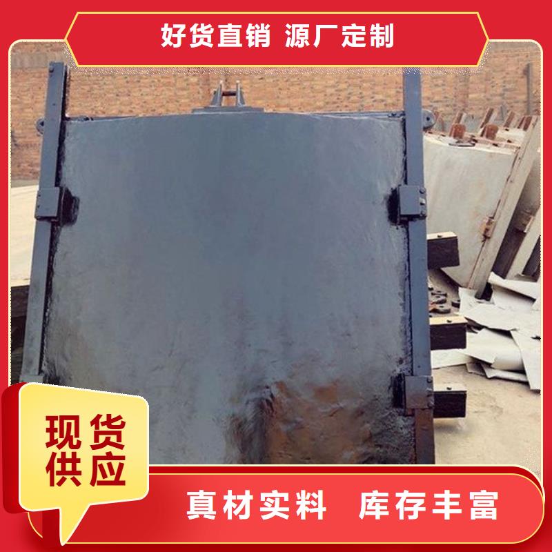 铸铁闸门-螺杆启闭机拥有多家成功案例