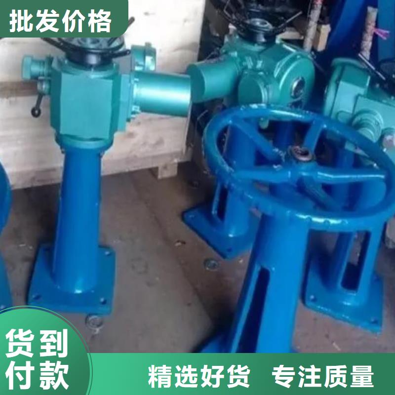 螺杆启闭机钢制闸门服务至上