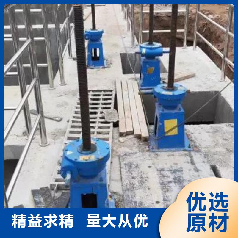 螺杆启闭机,铸铁闸门工期短发货快