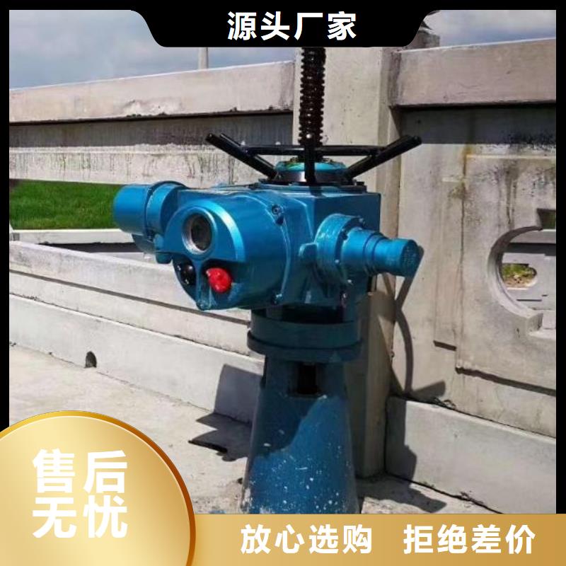 螺杆启闭机,铸铁闸门工期短发货快