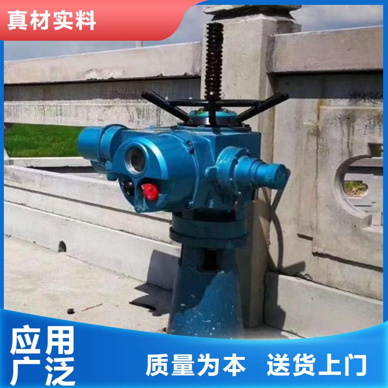 螺杆启闭机手轮启闭机精心打造