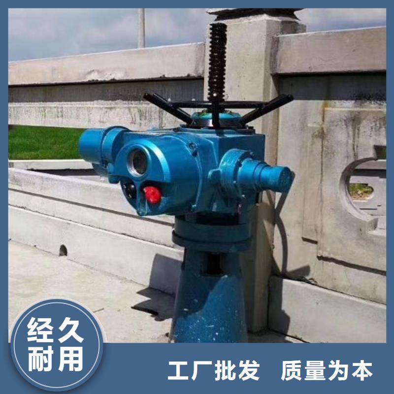 螺杆启闭机_电动装置启闭机批发商