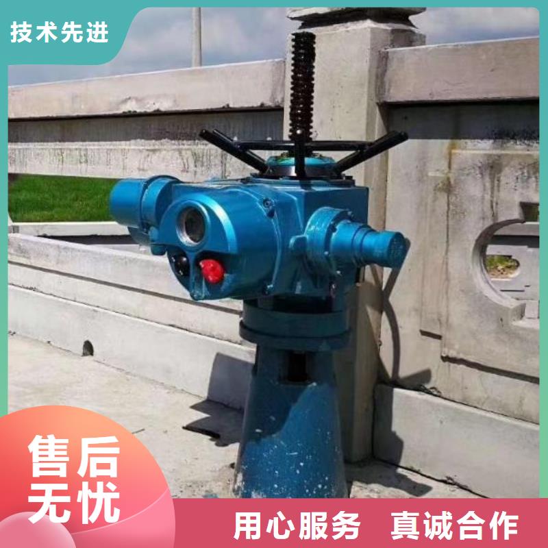 【螺杆启闭机钢坝厂家货源】