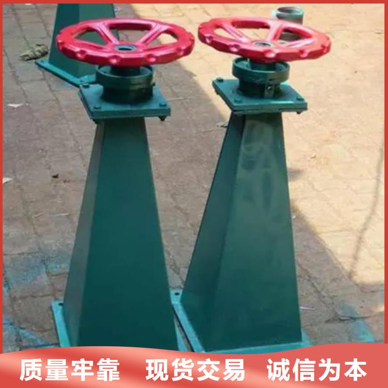 【螺杆启闭机铸铁闸门专业生产团队】