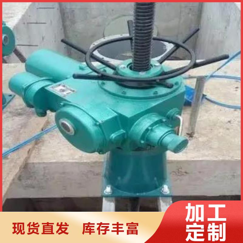 螺杆启闭机-卷扬启闭机厂家厂家定制
