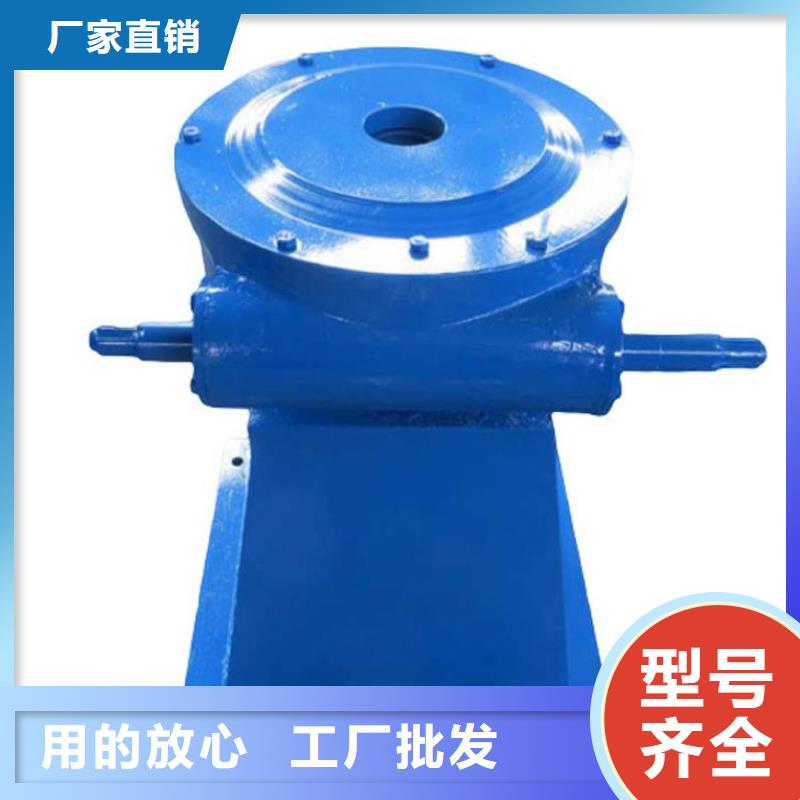 【螺杆启闭机铸铁闸门专业生产团队】