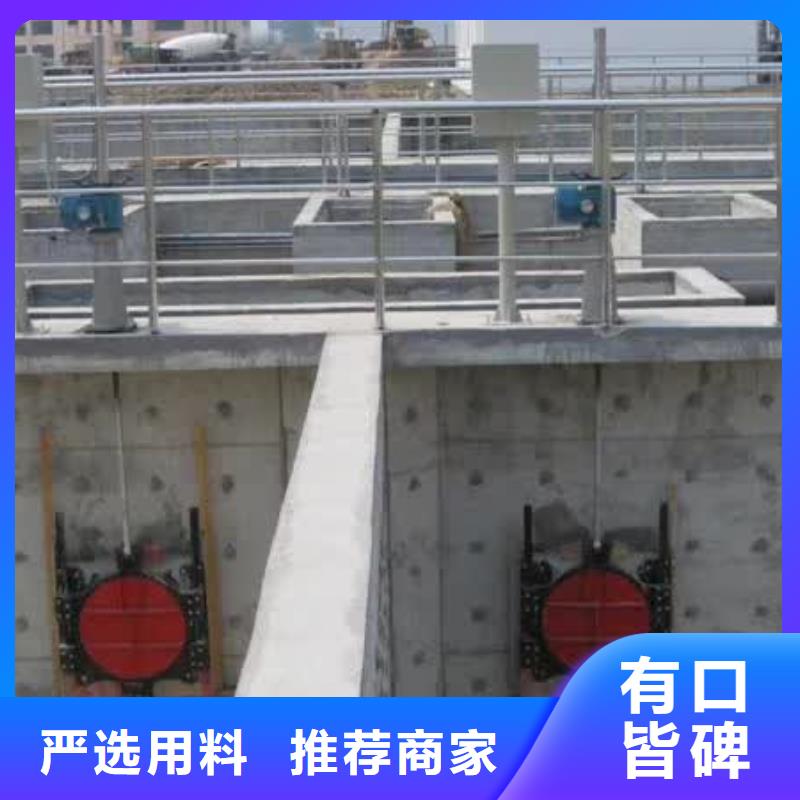 螺杆启闭机双向止水闸门实力公司