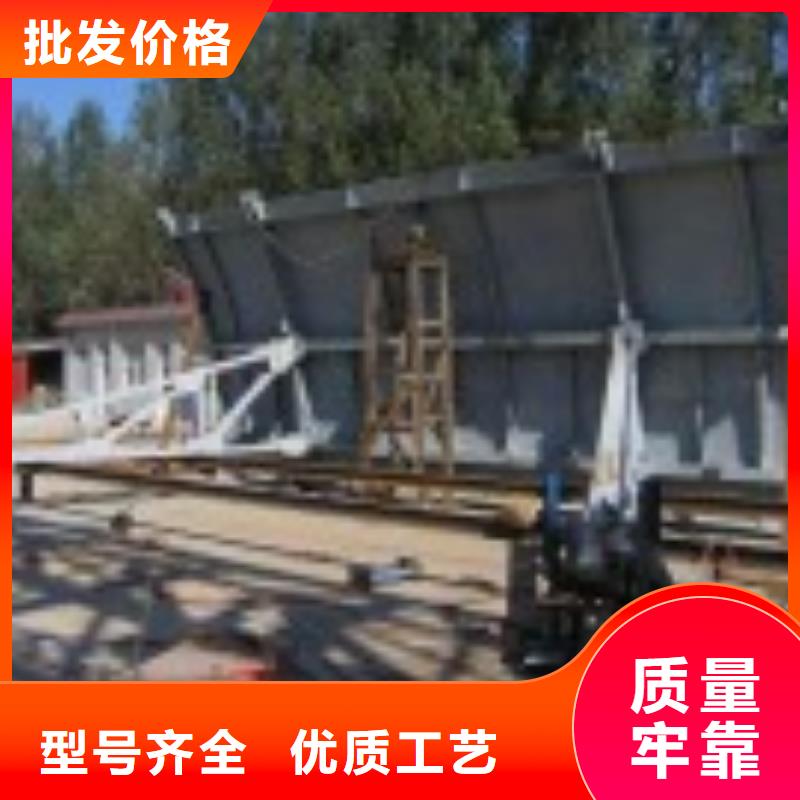 翻板闸门,手摇卷扬启闭机多年实力厂家