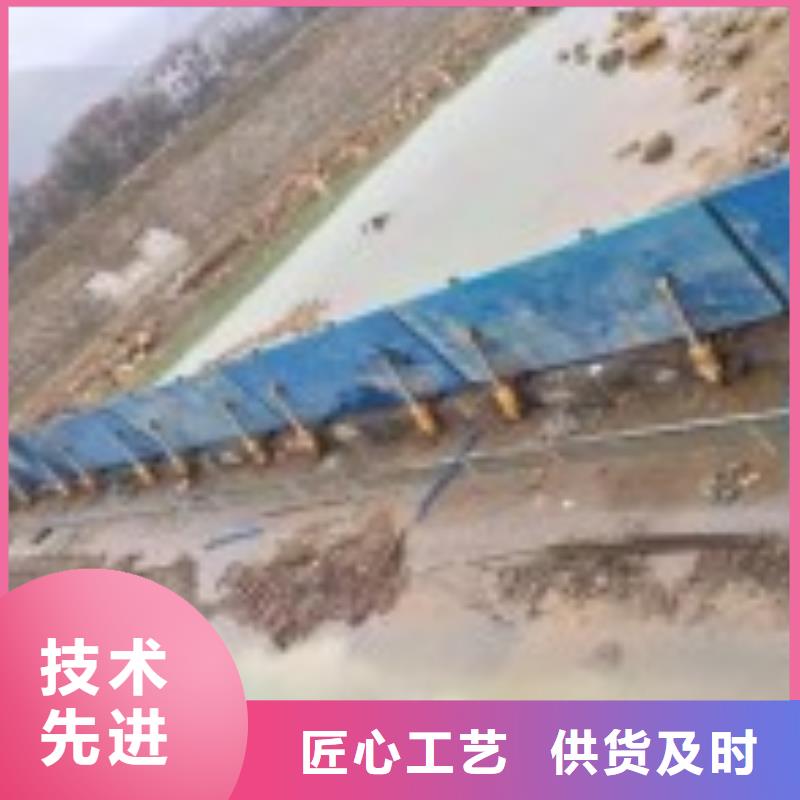 翻板闸门钢制闸门真材实料