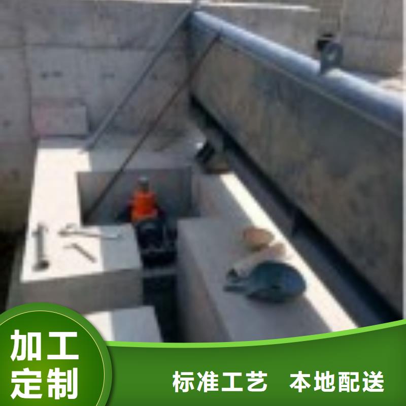 翻板闸门种类丰富