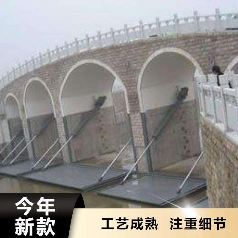 翻板闸门抓斗清污机产品细节
