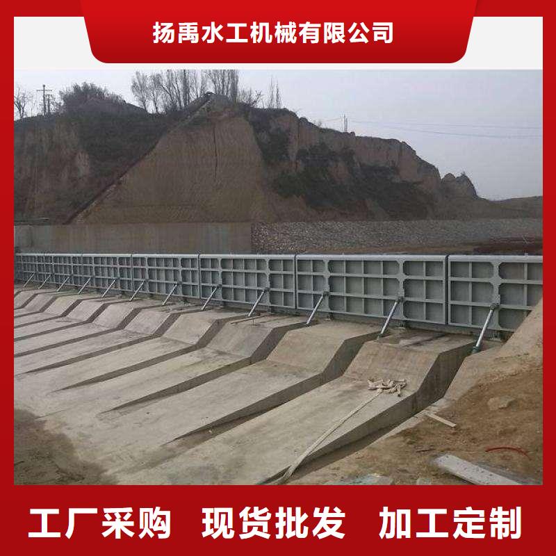 翻板闸门_【拦污栅】专注品质