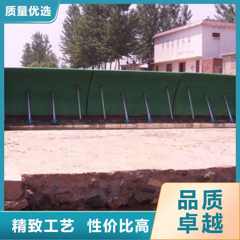 【翻板闸门 钢制拍门专注细节专注品质】