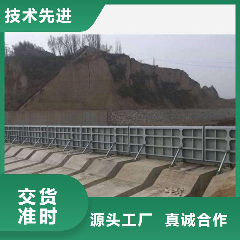 【翻板闸门】-螺杆启闭机N年生产经验