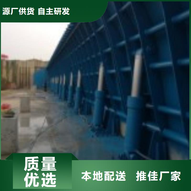 翻板闸门_【拦污栅】专注品质