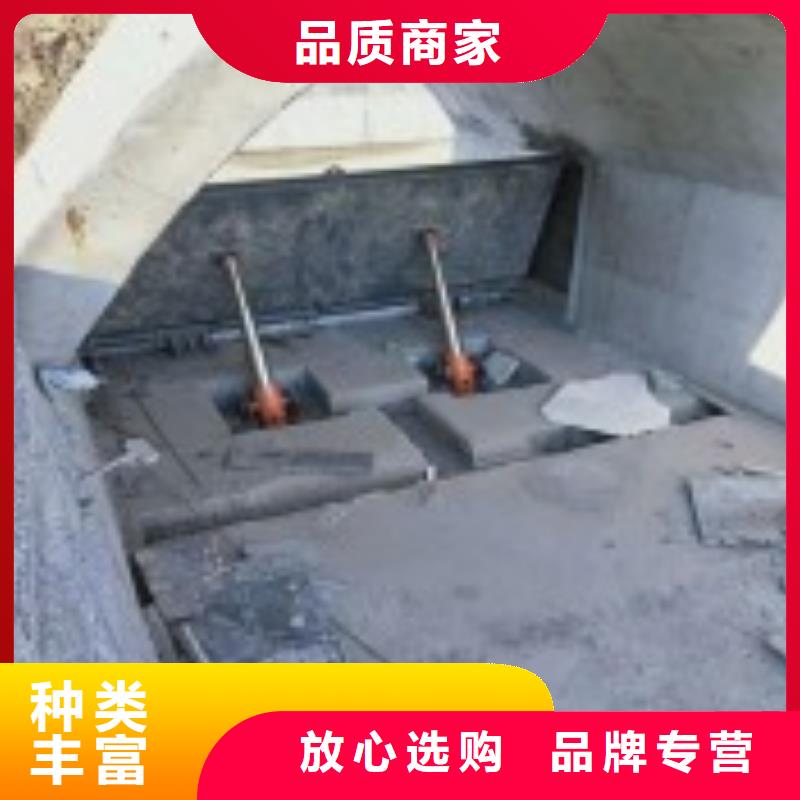 翻板闸门_【拦污栅】专注品质